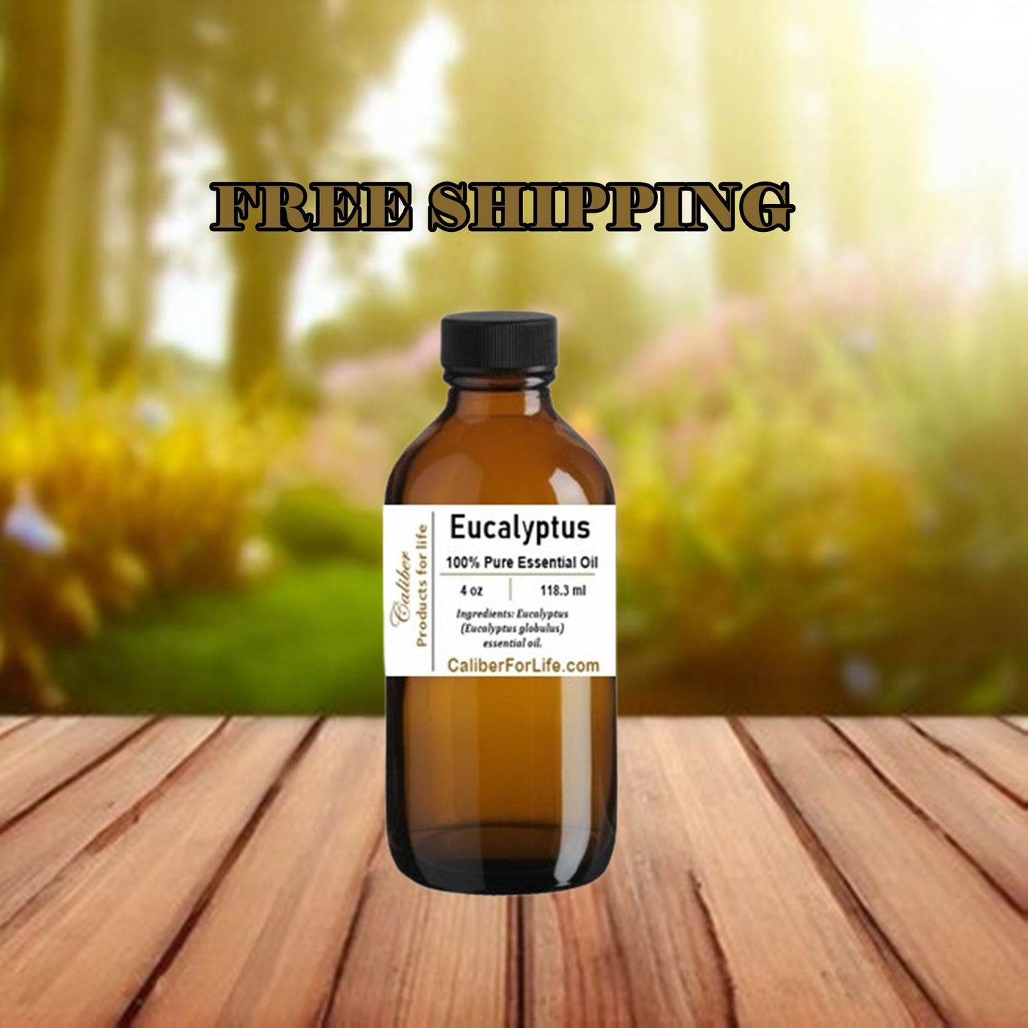 Eucalyptus (globulus)  Essential Oil