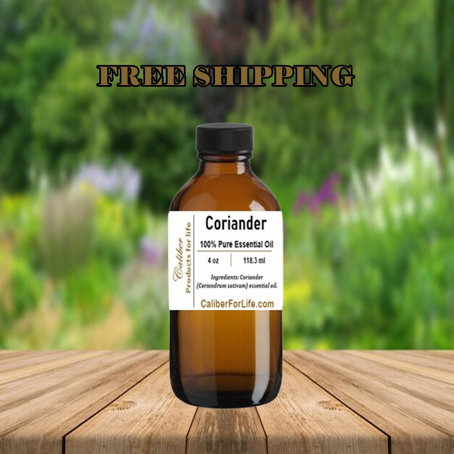 Coriander Essential Oil