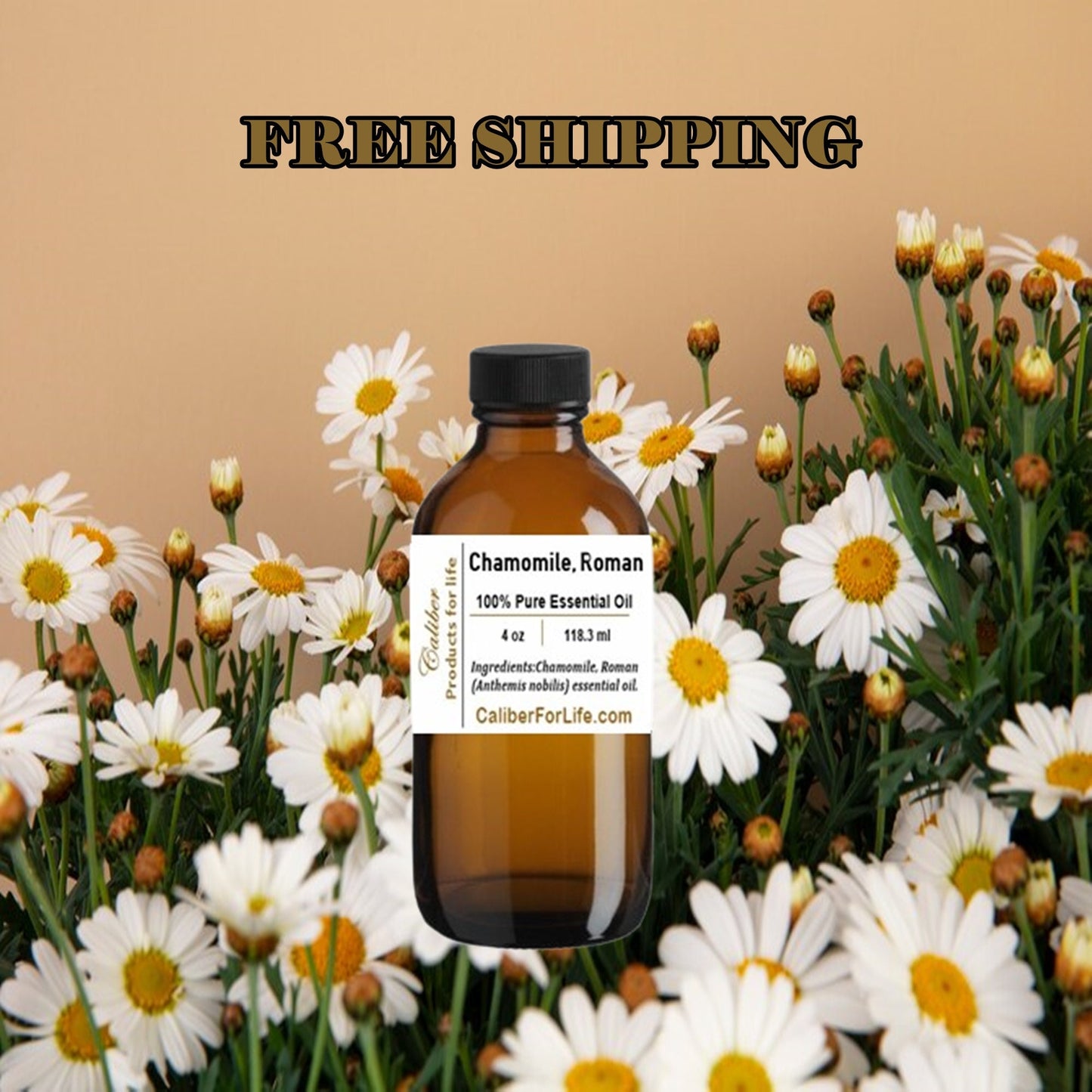 Roman Chamomile Essential Oil