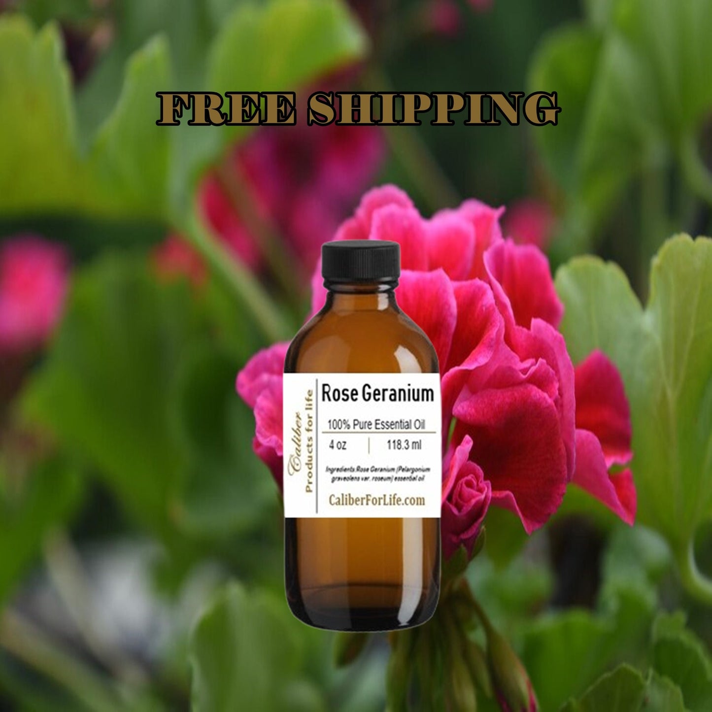 Rose Geranium Essential Oil