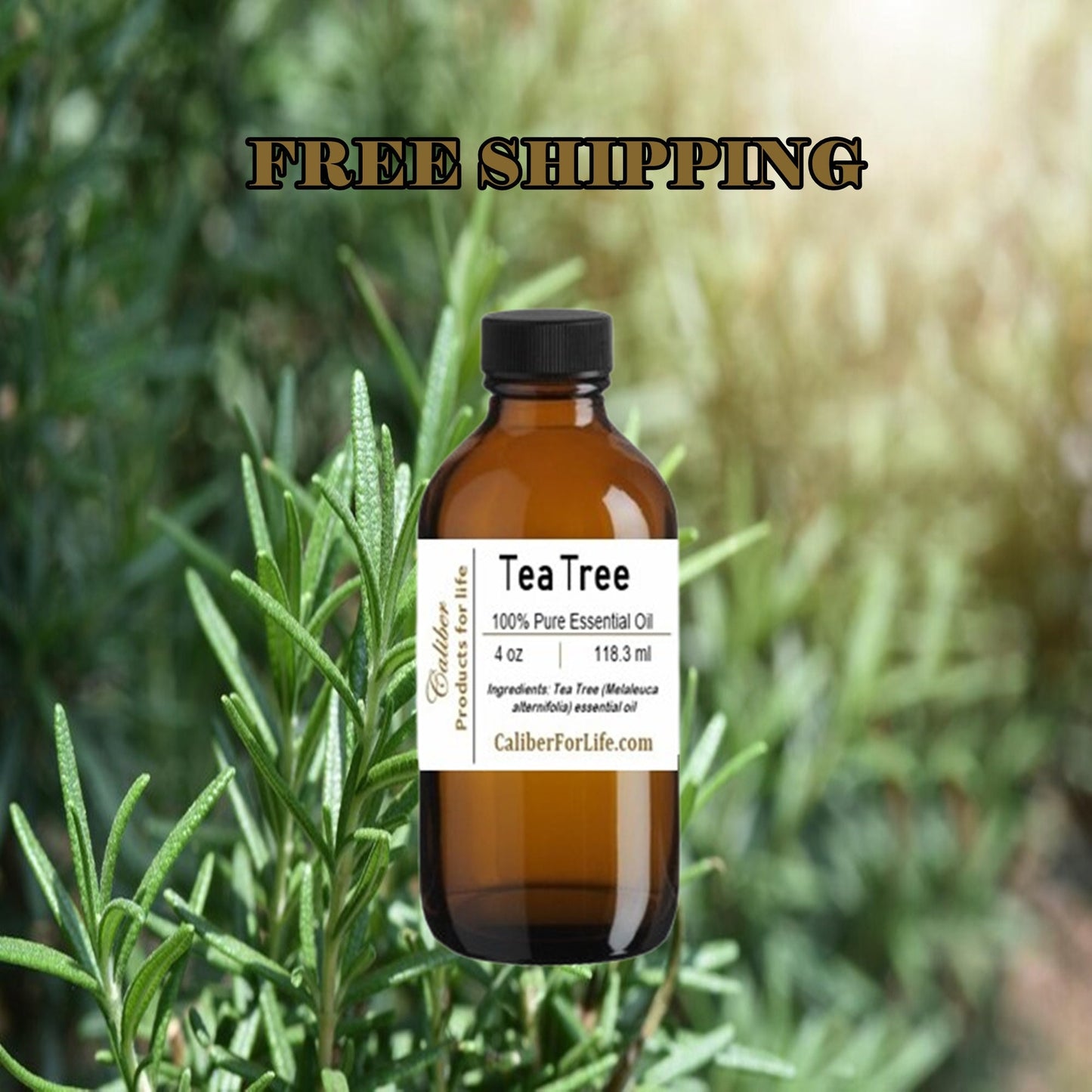 Tea Tree Malaleuca Essential Oil