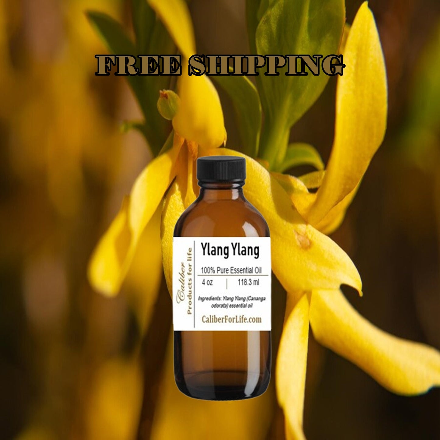 Ylang Ylang Extra Essential Oil